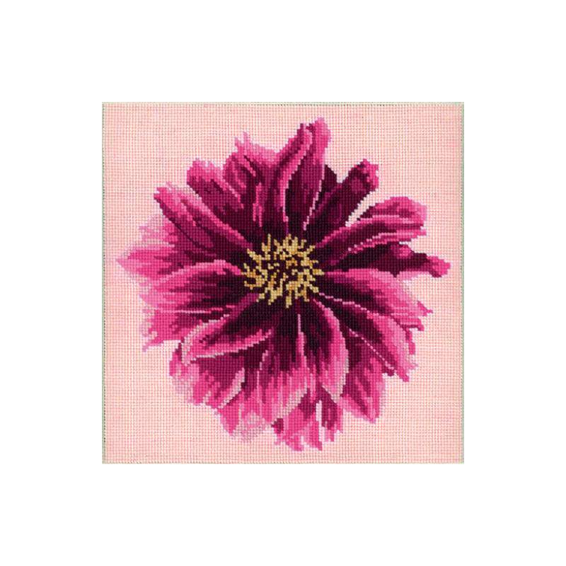 Elizabeth Bradley, Blooms, DAHLIA - 12x12 pollici Elizabeth Bradley - 1