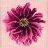 Elizabeth Bradley, Blooms, DAHLIA - 12x12 pollici Elizabeth Bradley - 1