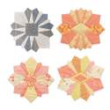 Distinctive Dresdens - 26 Intriguing Blocks, 6 Projects - 26 Blocchi Piatto di Dresda - Martingale Martingale - 9