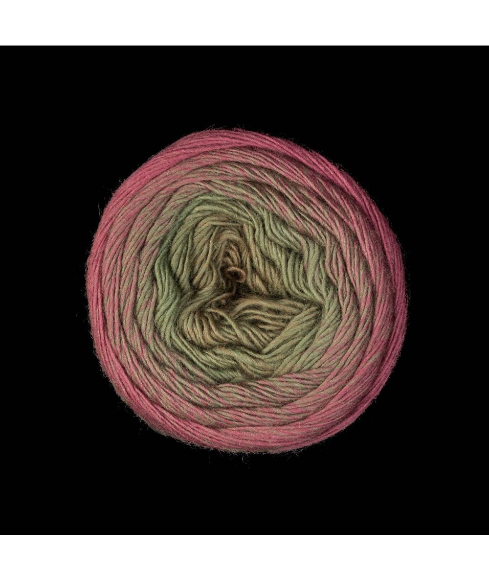 Laines du Nord, filato Poema - 100% Lana Merino Extrafine Laines du Nord - 20