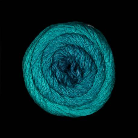 Laines du Nord, filato Warmy - 70% Lana Merino Extrafine Laines du Nord - 10