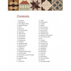The Big Book of Lap Quilts - 51 Patterns for Family Room Favorites Martingale & Co Inc - 2