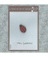 Mrs Ladybird Button - Bottone Coccinella - 1 x 1,6 cm, Lynette Anderson Lynette Anderson Designs - 1