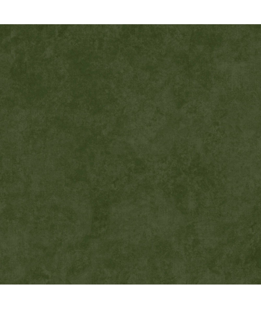 Maywood Studio 108 Beautiful Backing Forest Green, Tessuto per Retro Quilt Verde Foresta Sfumato Maywood Studio - 1