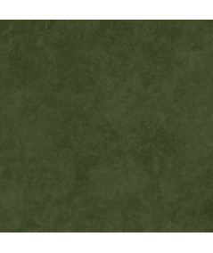 Maywood Studio 108 Beautiful Backing Forest Green, Tessuto per Retro Quilt Verde Foresta Sfumato Maywood Studio - 1