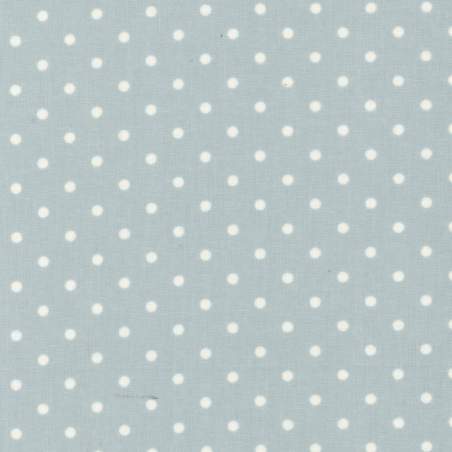 Durham Quilt Collection 2019, 31930-72 Lecien Corporation - 1