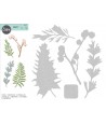 Thinlits Die - Set 5PK Natural Leaves Sizzix - Big Shot - 1