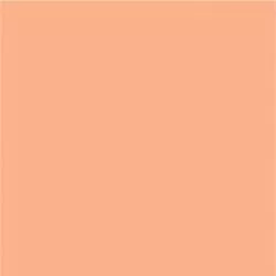 DecoArt Americana Pittura Acrilica Coral Shell, Conchiglia di Corallo DecoArt - Americana - 1