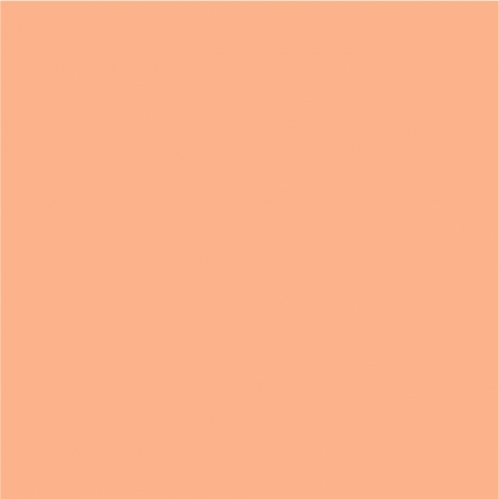 DecoArt Americana Pittura Acrilica Coral Shell, Conchiglia di Corallo DecoArt - Americana - 1