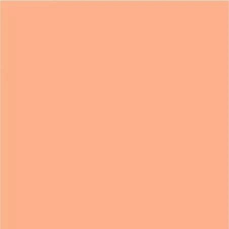 DecoArt Americana Pittura Acrilica Coral Shell, Conchiglia di Corallo DecoArt - Americana - 1