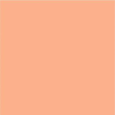 DecoArt Americana Pittura Acrilica Coral Shell, Conchiglia di Corallo DecoArt - Americana - 1