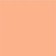 DecoArt Americana Pittura Acrilica Coral Shell, Conchiglia di Corallo DecoArt - Americana - 1