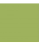 DecoArt Americana Pittura Acrilica Hauser Light Green, Verde Chiaro DecoArt - Americana - 1