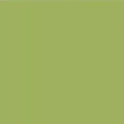 DecoArt Americana Pittura Acrilica Hauser Light Green, Verde Chiaro DecoArt - Americana - 1