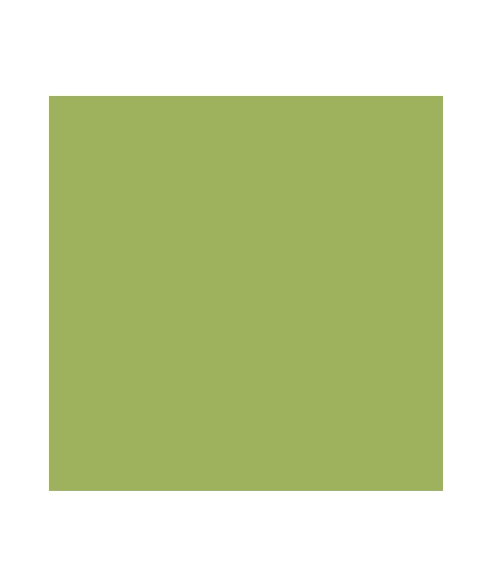 DecoArt Americana Pittura Acrilica Hauser Light Green, Verde Chiaro DecoArt - Americana - 1
