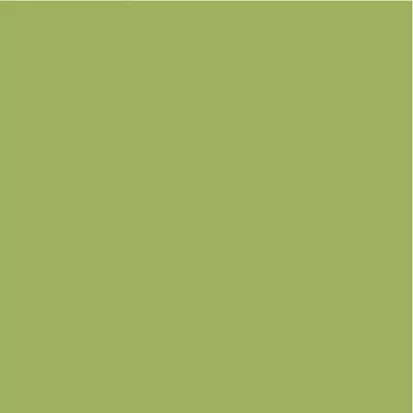 DecoArt Americana Pittura Acrilica Hauser Light Green, Verde Chiaro DecoArt - Americana - 1