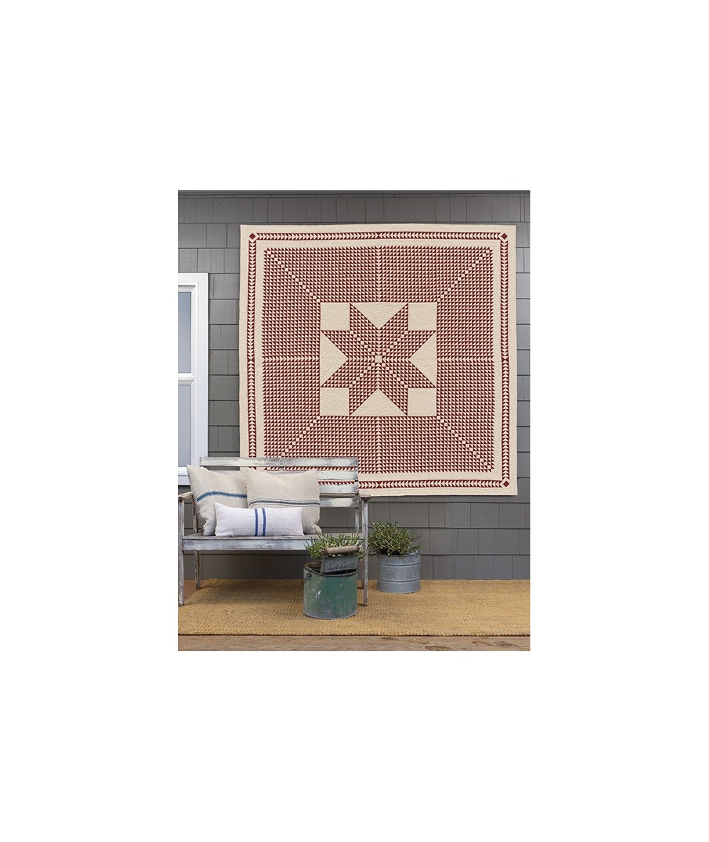 Red & White Quilts: 14 Quilts With Timeless Appeal from Today's Top Designers - Martingale Martingale - 5