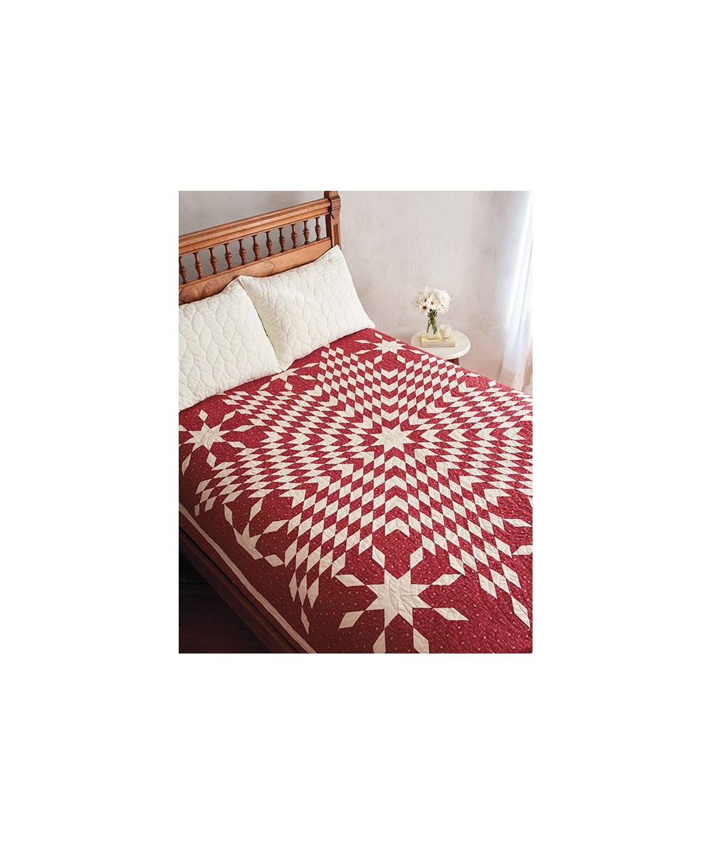 Red & White Quilts: 14 Quilts With Timeless Appeal from Today's Top Designers - Martingale Martingale - 14