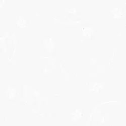 Maywood Studio Solitaire Whites, Tessuto Bianco Ottico con Fiori Bianchi Maywood Studio - 1
