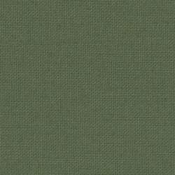 Lecien 1000 Colors, Tessuto Verde Salvia Tinta Unita Lecien Corporation - 1