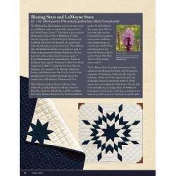 Indigo Quilts, 30 Quilts from the Poos Collection - History of Indigo, Kay & Lori Lee Triplett
