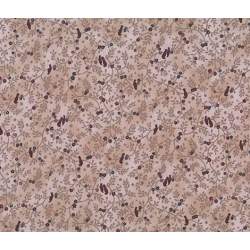 Stof, Tessuto Fondo Beige con Fiori e Uccelli Stof - 1