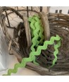 Rick Rack Colore Verde Altezza 10 mm