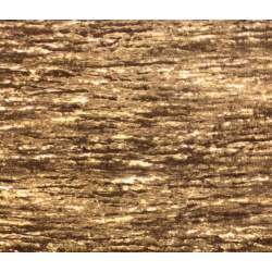 Wilmington Prints Nature's...
