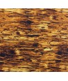 South Sea Imports Majestic Wings by Rod Frederick, Tessuto Marrone Effetto Corteccia South Sea Import - 1