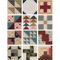 Schoolgirl Sampler - 72 Simple 4'' Blocks and 7 Charming Quilts by Kathleen Tracy - Martingale Martingale - 13