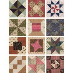 Schoolgirl Sampler - 72 Simple 4'' Blocks and 7 Charming Quilts by Kathleen Tracy - Martingale Martingale - 14