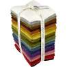 Maywood Studio Color Wash Woolies Flannel, 21 Fat Quarter 45 x 55 cm di Flanella