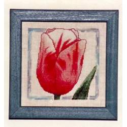 The Classic Stitch, Salmon Tulip , Schema Punto Croce