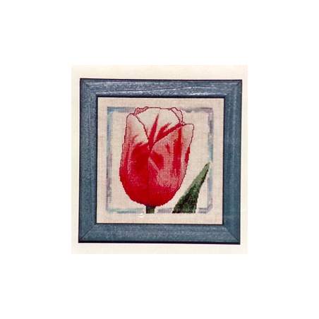 The Classic Stitch, Salmon Tulip , Schema Punto Croce