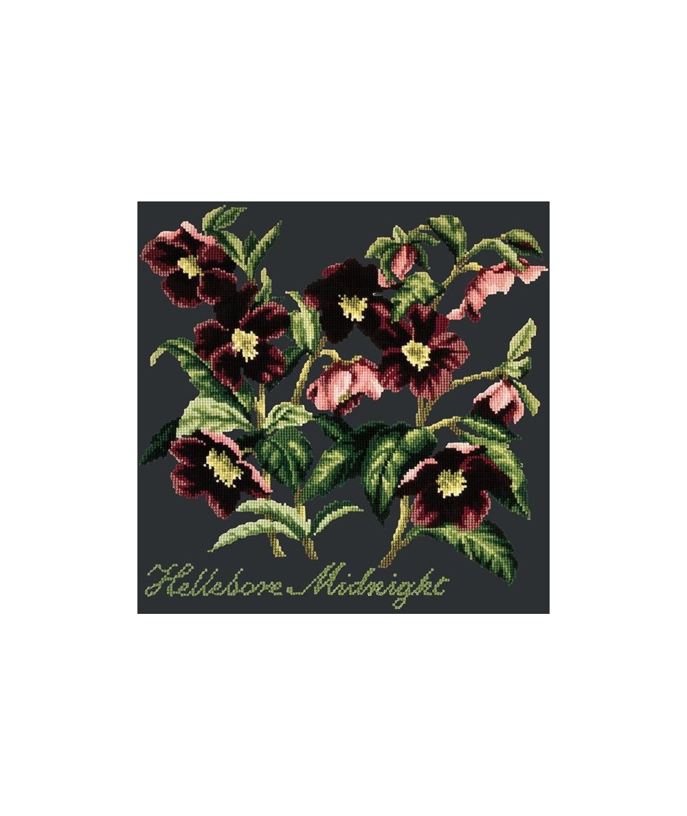 Elizabeth Bradley, Shade Garden, HELLEBORE MIDNIGHT - 16x16 pollici Elizabeth Bradley - 19 Elizabeth Bradley, Shade Garden, HELLEBORE MIDNIGHT - 16x16 pollici Elizabeth Bradley - 19