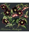 Elizabeth Bradley, Shade Garden, HELLEBORE MIDNIGHT - 16x16 pollici Elizabeth Bradley - 19