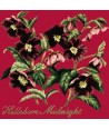 Elizabeth Bradley, Shade Garden, HELLEBORE MIDNIGHT - 16x16 pollici Elizabeth Bradley - 5