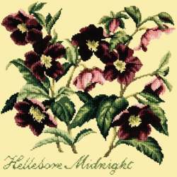 Elizabeth Bradley, Shade Garden, HELLEBORE MIDNIGHT - 16x16 pollici Elizabeth Bradley - 11