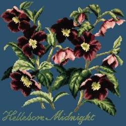 Elizabeth Bradley, Shade Garden, HELLEBORE MIDNIGHT - 16x16 pollici Elizabeth Bradley - 17