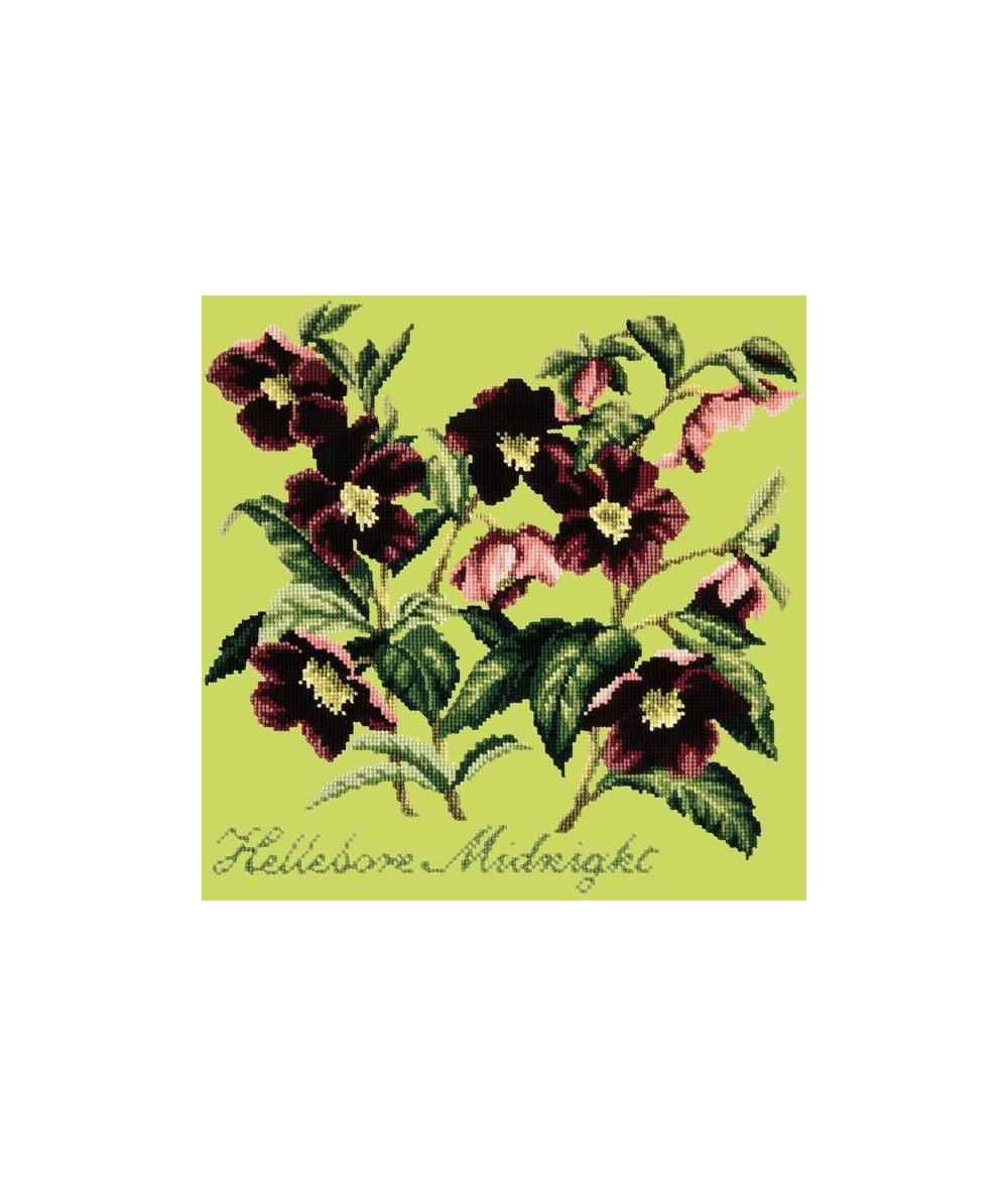 Elizabeth Bradley, Shade Garden, HELLEBORE MIDNIGHT - 16x16 pollici Elizabeth Bradley - 9 Elizabeth Bradley, Shade Garden, HELLEBORE MIDNIGHT - 16x16 pollici Elizabeth Bradley - 9