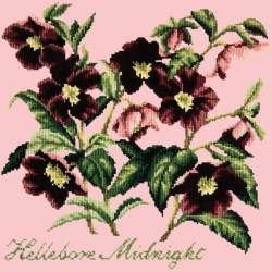 Elizabeth Bradley, Shade Garden, HELLEBORE MIDNIGHT - 16x16 pollici Elizabeth Bradley - 3