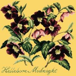 Elizabeth Bradley, Shade Garden, HELLEBORE MIDNIGHT - 16x16 pollici Elizabeth Bradley - 12