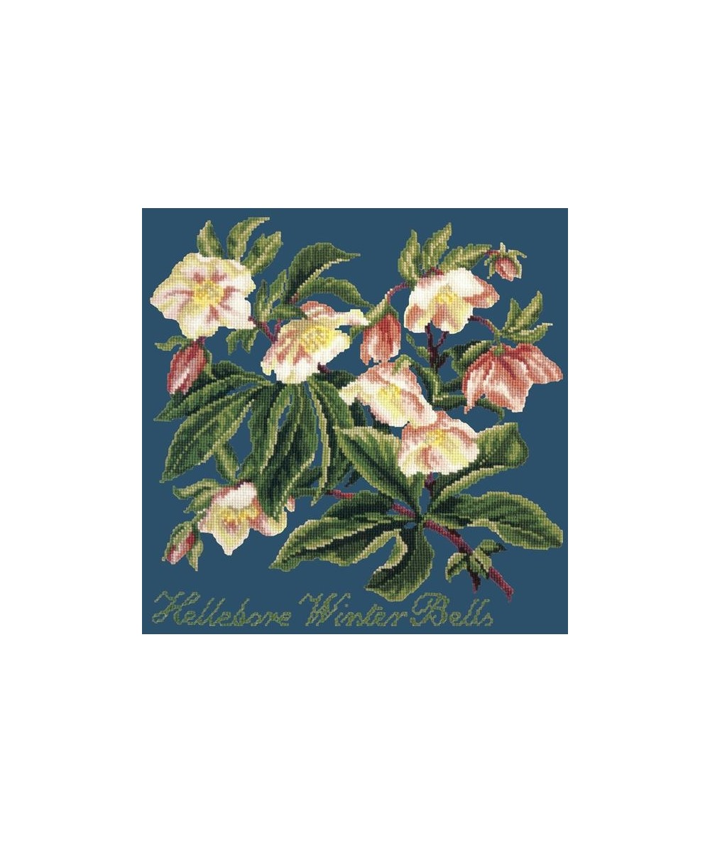 Elizabeth Bradley, Shade Garden, HELLEBORE WINTER BELLS - 16x16 pollici Elizabeth Bradley - 17 Elizabeth Bradley, Shade Garden, HELLEBORE WINTER BELLS - 16x16 pollici Elizabeth Bradley - 17