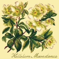Elizabeth Bradley, Shade Garden, HELLEBORE MOONDANCE - 16x16 pollici Elizabeth Bradley - 14