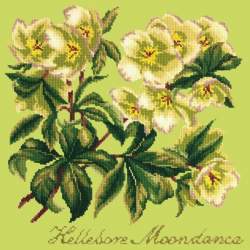 Elizabeth Bradley, Shade Garden, HELLEBORE MOONDANCE - 16x16 pollici Elizabeth Bradley - 9