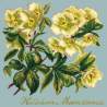 Elizabeth Bradley, Shade Garden, HELLEBORE MOONDANCE - 16x16 pollici Elizabeth Bradley - 15