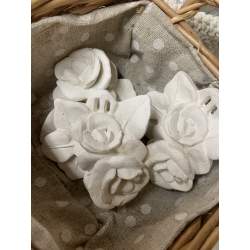 Mathilde M, 2 Rose di Gesso