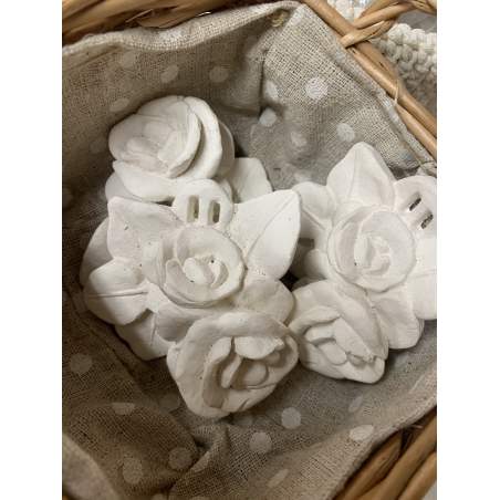 Mathilde M, 2 Rose di Gesso