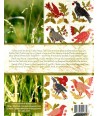 In the Meadow - Barb Adams and Alma Allen Blackbird Designs