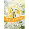 Hallo Fruhling "Ciao Primavera" Libro ricamo punto croce